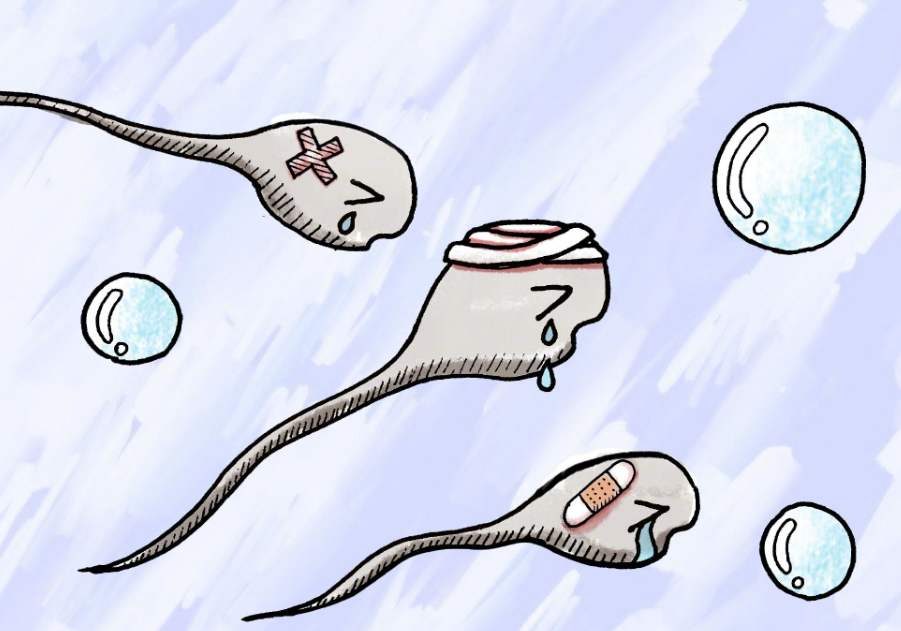 1607339199107013.jpg 射精無力.jpg